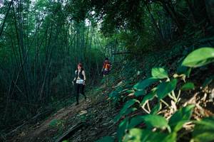 BIB: 
                            <button type="button" onclick="openModal(28124499)" class="btn btn-primary btn-sm float-right btn-popup" data-toggle="modal" data-target=".modal-high-quality">
                        <i class="fas fa-shopping-cart"></i> Add to Cart
                    </button>
                                            <button type="button" onclick="isThisMe(28124499, true)" class="btn btn-success btn-sm float-right btn-popup btn-isme hidden" data-toggle="tooltip" data-placement="bottom" title="นี่คือรูปของคุณใช่ไหม คลิกที่นี่เพื่อเอาเข้าอัลบั้ม">
                        <i class="fas fa-plus"></i> Add to album
                    </button>
                    <button type="button" onclick="isThisMe(28124499, false)" class="btn btn-warning btn-sm float-right btn-popup btn-isnotme hidden">
                        <i class="fas fa-ban"></i> Remove from album
                    </button>